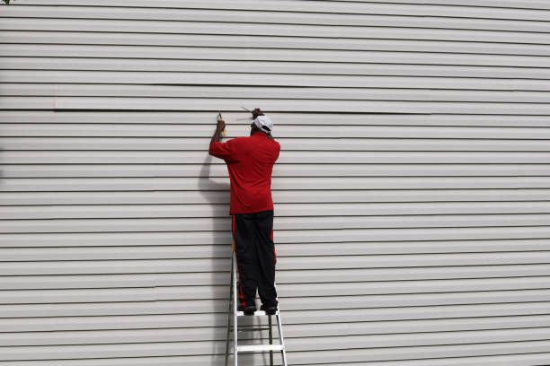 Best Aluminum Siding Installation  in Fisher, IL