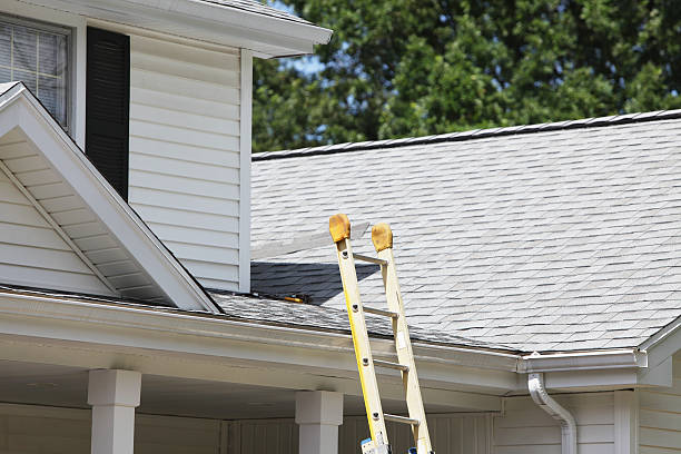 Best Brick Veneer Siding  in Fisher, IL